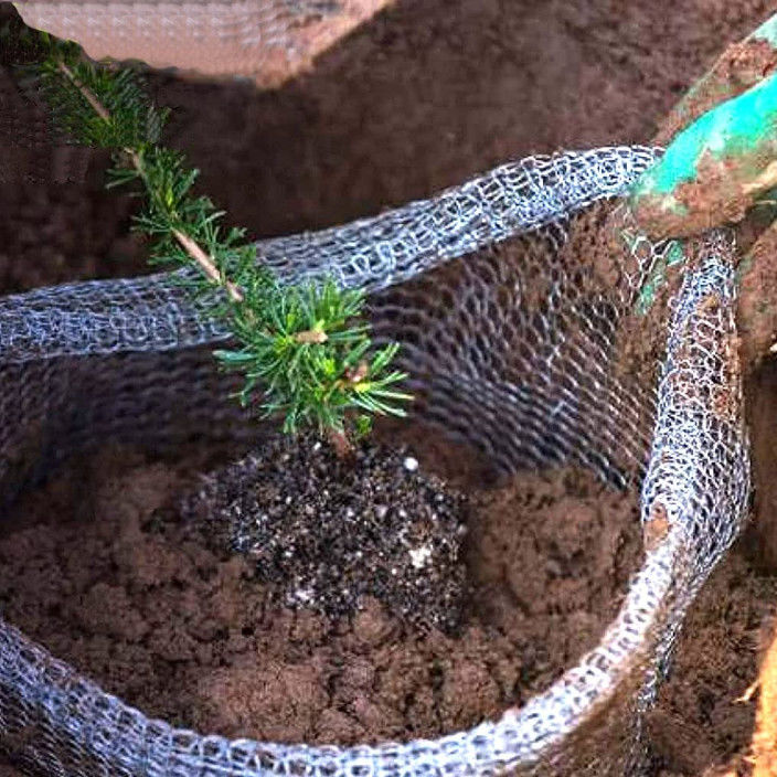 ISO9001 Root Guard Baskets Stainless Steel Gopher Baskets For Plants